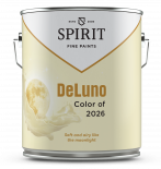 Цветна боя Spirit 2.5 л Делуно