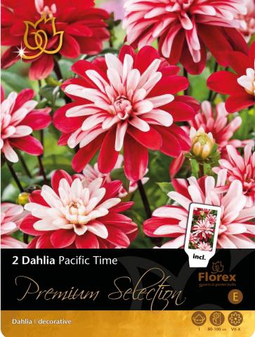 Луковици Premium Далия Pacific Time 2бр. - Далии