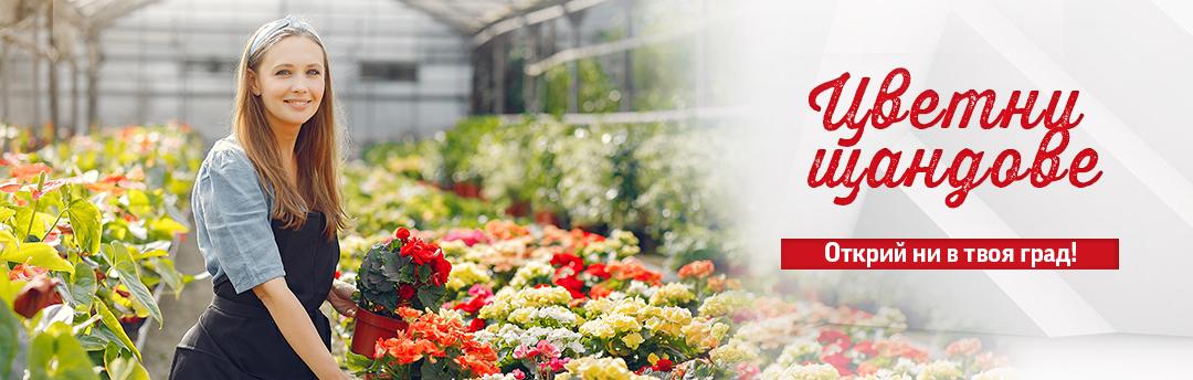 Цветни щандове за 8-ми март 2026