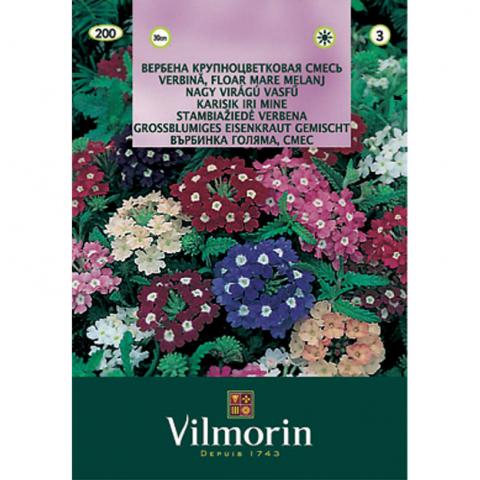 Върбинка голяма - Вилморин - Семена за цветя