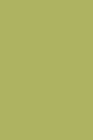 ABS Кант,Зелено-дебелина 2мм, снимка 2 - Кантове