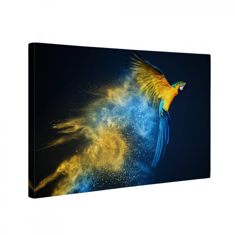 Картина Soaring parrot 60x90 см, снимка 2 - Картини и рамки