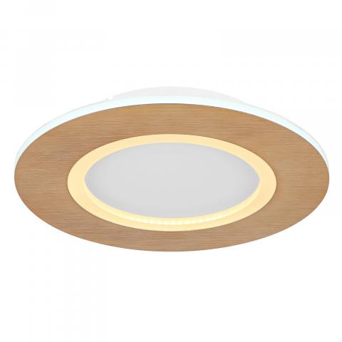 LED Плафон CLAY 23W 2560Lm, ф300, 2700-6500K - Плафони