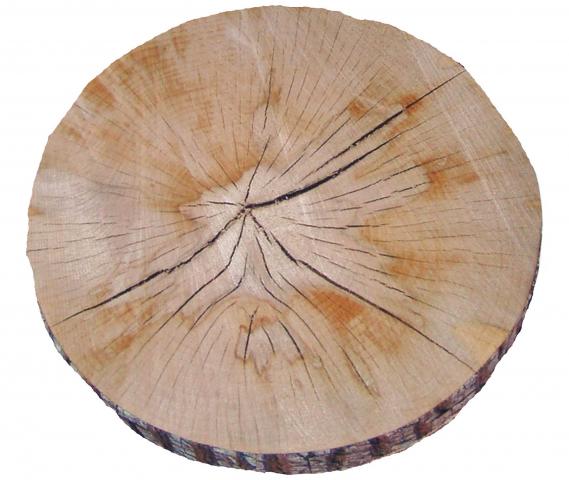 Столовка 5см дърво - Декоративни възглавници