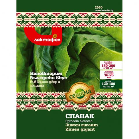 Български семена Спанак Зимен Гигант - Семена за плодове и зеленчуци