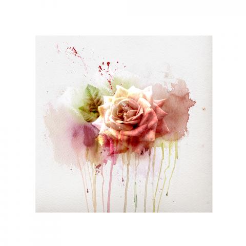 Картина Painted roses 50x50 см, снимка 3 - Картини и рамки