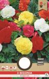 Луковици PURE Бегония Grandiflora микс, 3бр