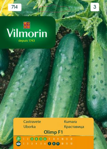 Краставица Олимп F1- Вилморин - Семена за плодове и зеленчуци