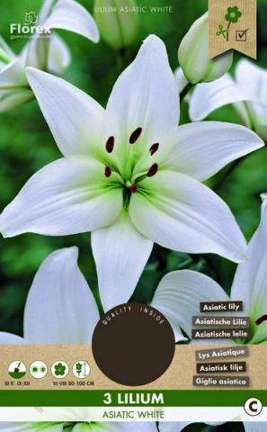 Луковици PURE Лилиум Asiatic White - Външни растения
