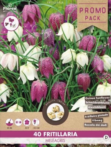 Луковици Шахматна Ведрица Fritillaria meleagris 40бр - Специалитети