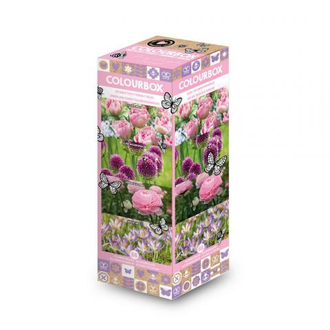 Луковици микс 66бр Pink&Purple Sunset Vertical Box - Миксове