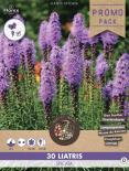 Луковици Promo Лиатрис Spicata Blue 30бр.