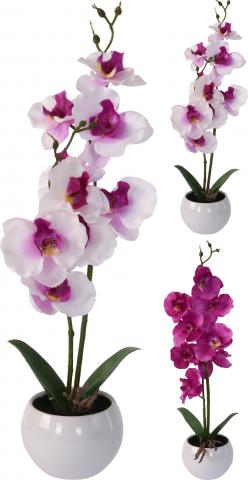 Орхидея в керамична саксия - Цветя в саксия