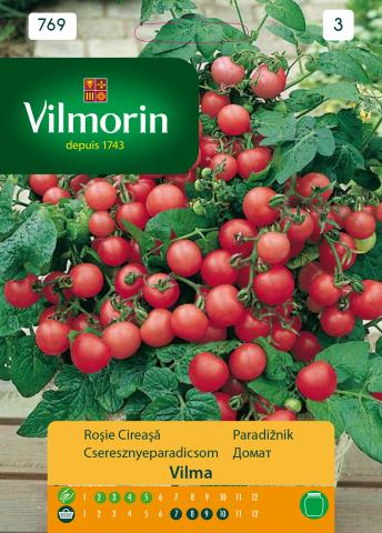 Домат Vilma (чери на клонка) - Вилморин, снимка 2 - Семена за плодове и зеленчуци