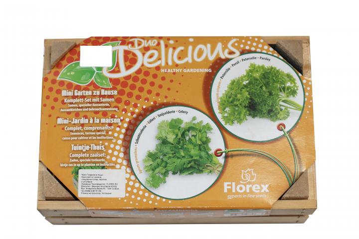 Комплект семена за подправки Duo Delicious II целина + магданоз - Семена за билки и подправки