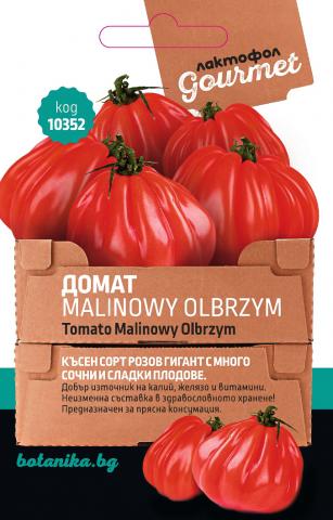 Лактофол Гурме Семена Домат Malinowy Olbrzym - Семена за плодове и зеленчуци