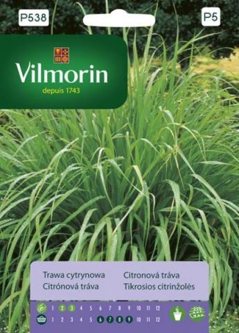 Лимонена трева - Вилморин - Семена за билки и подправки