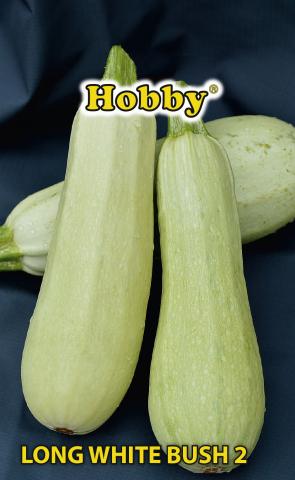 HOBBY семена тиквички LONG WHITE BUSH 2 - Семена за плодове и зеленчуци