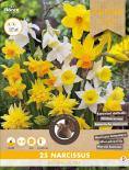 Луковици Нарцис Botanical-микс 10/12, 25бр.