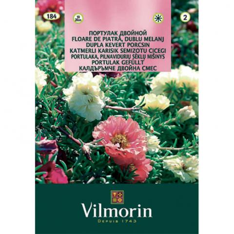 Калдъръмче двойна смес- Вилморин - Семена за цветя