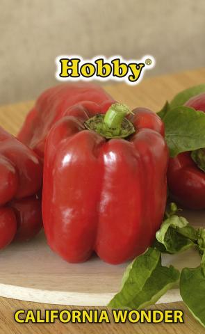 HOBBY семена чушки CALIFORNIA WONDER - Семена за плодове и зеленчуци