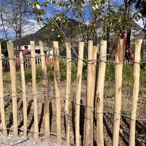 Градинска ограда от естествена леска HAZEL H=0.90м L=5.0м, снимка 2 - Ниски оградки