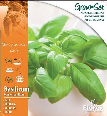 Сет за разсад- Босилек Sweet Basil - Семена за билки и подправки