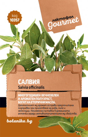 Лактофол Гурме Семена Салвия - Семена за билки и подправки