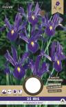 Луковици PURE Ирис Hollandica blue, 25бр