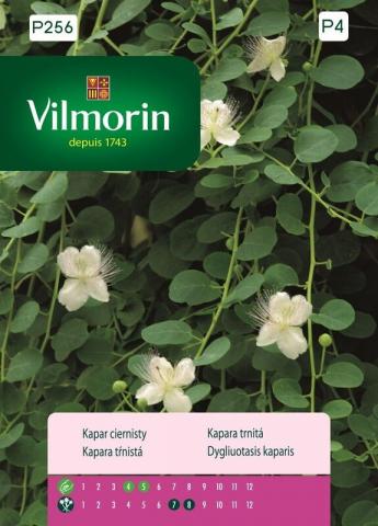 Вилморин семена Каперси - Семена за плодове и зеленчуци