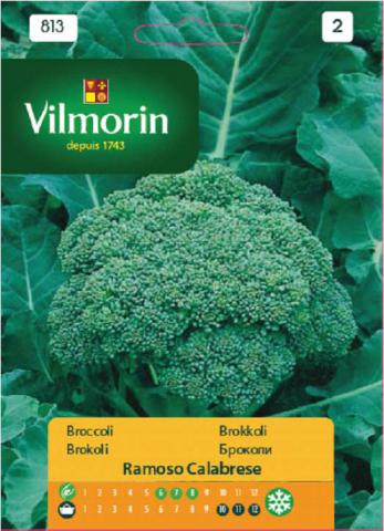 Броколи Calabrese Natalino - Вилморин - Семена за плодове и зеленчуци