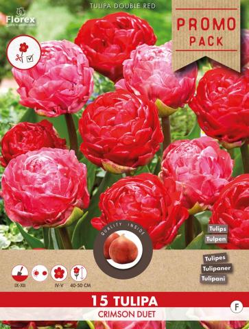 Луковици Лале Crimson Duet 15 бр. - Лалета