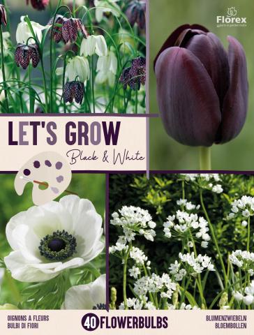 Луковици микс Let s Grow бяло и черно 40бр. - Външни растения
