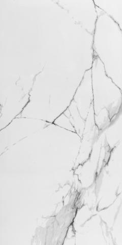 Гранитогрес Marmo Bianco 60x120 - Гранитогрес