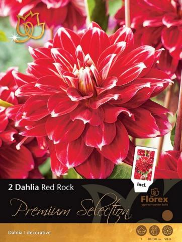Луковици Premium Далия Red Rock - Външни растения