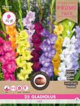 Луковици Promo Гладиола Grandiflora 25бр.