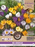 Луковици PP Минзухар Botanical mixed 40бр