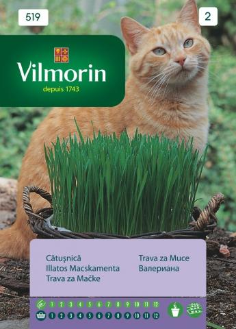 Котешка трева - Семена за билки и подправки