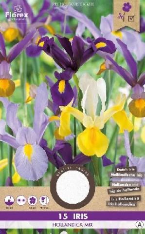 Луковици PURE Ирис Hollandica mix 15бр. - Специалитети