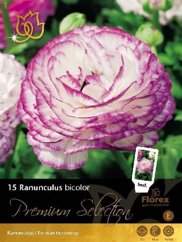 Луковици Premium Ранункулус Persian Buttercup - Специалитети
