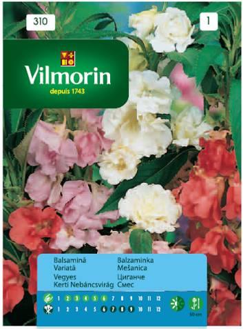 Циганче цветна смес- Вилморин - Семена за цветя