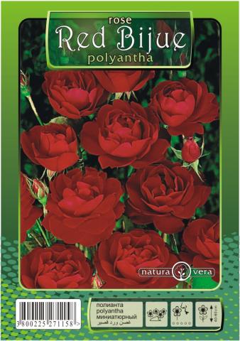 Хибрид Чаена роза 80-120см., микс, снимка 9 - Външни растения