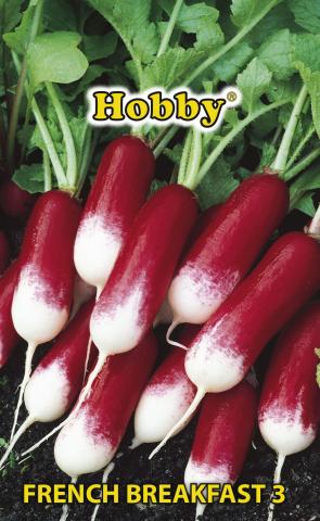 HOBBY семена репички FRENCH BREAKFAST - Семена за плодове и зеленчуци