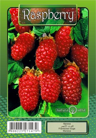 Плодни храсти Ф8 см, микс Natura vera, снимка 3 - Овошки и плодни храсти