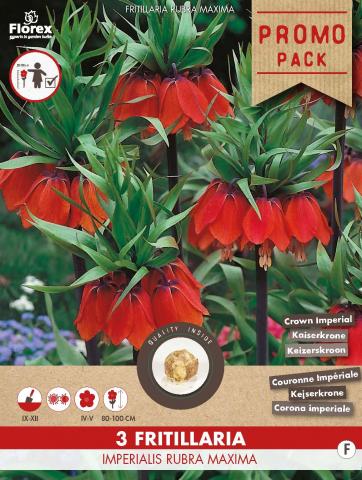 Луковици PP Фритилария 'Imperialis Rubra', 3бр. - Специалитети