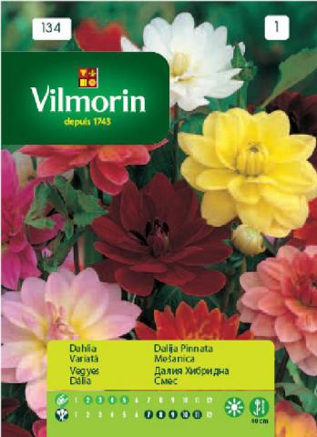 Далия хибридна смес - Вилморин, снимка 2 - Семена за цветя