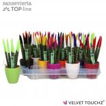 Сансевиера VELVET TOUCH ф6см, H18см