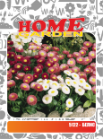 Семена за цветя HomeGarden БЕЛИС