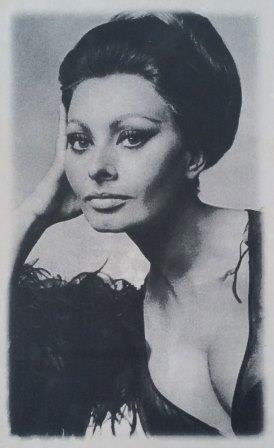 Декор Sophia Loren 25x40 - Декор