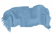 Одеяло Полар 100х150 см с ресни синьо